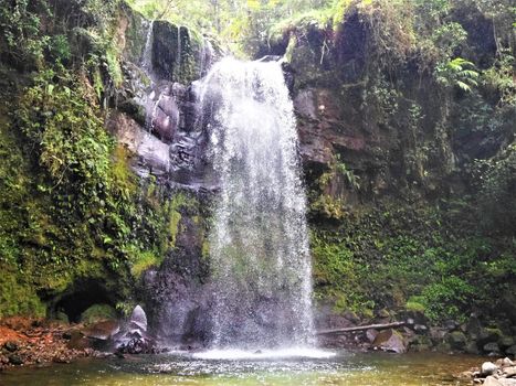 jungle waterfall at boquete wendy's waterfalls panama central america