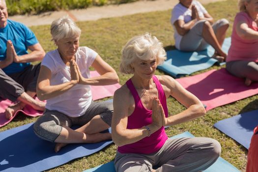 High angle view of group of active and motivate senior people performing yoga in the park