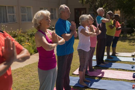Side view of group of active senior people concentrated performing yoga in the park. They are standing on yoga mat