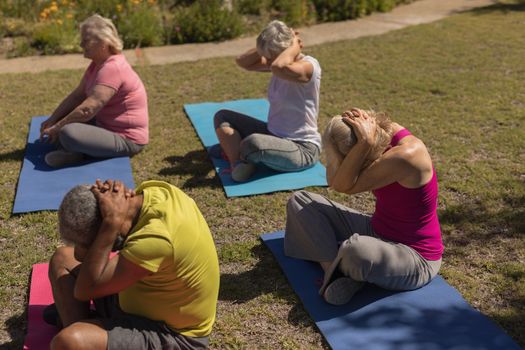 Side view of active senior people performing yoga on yoga mat in the park