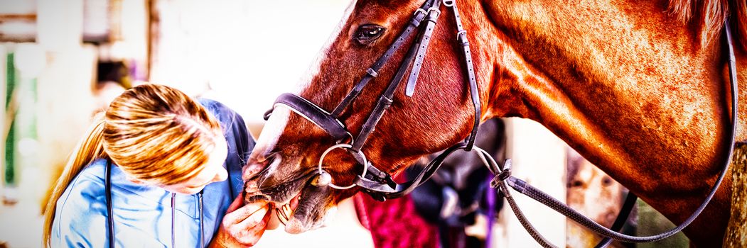 Female vet checking horse teeth while standing in stable