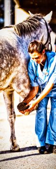 Female jockey looking at vet examining horse hoof at barn