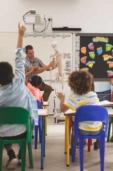 Front view of teacher explaining about human skeleton in classroom at school with school kids sitting and raising hand on their colored chairs in foreground