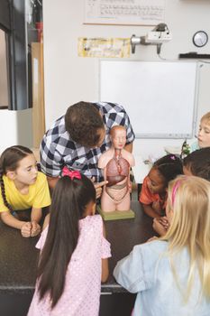 Front view of a teacher showing a dummy skeleton to his school kids in classroom at school