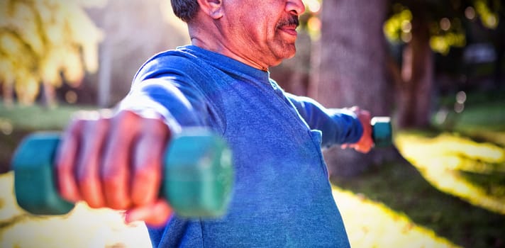 Mature man exercising with dumbbell on sunny day at park