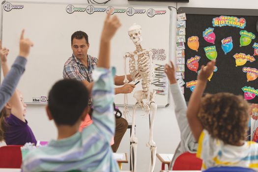 Front view of a teacher explaining about human skeleton in classroom at school