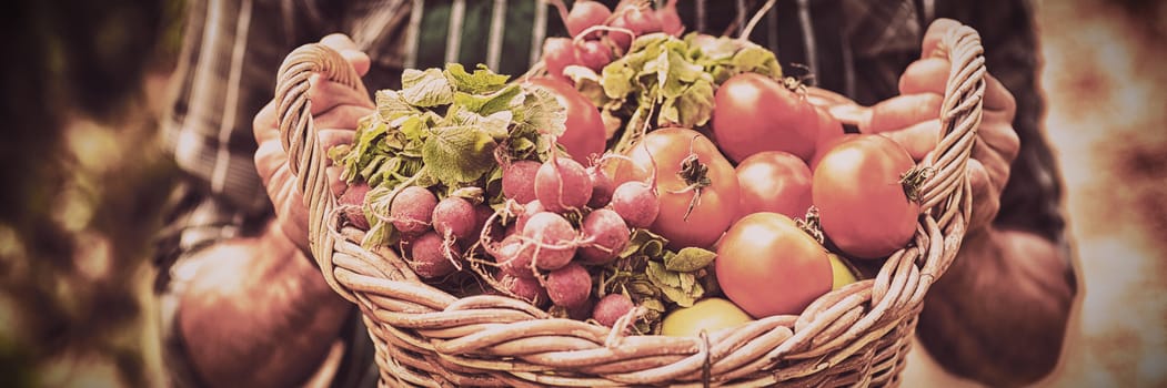 Midsection of farmer holding basket of vegetables in vineyard