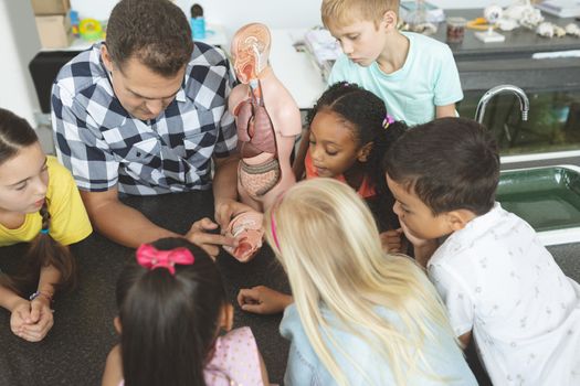 Overhead view of a teacher showing to his school kids a brain part of a dummy skeleton wile they are looking at it in classroom at school
