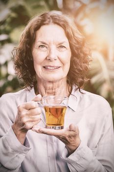 Portrait of smiling mature woman drinking herbal tea, Close-up