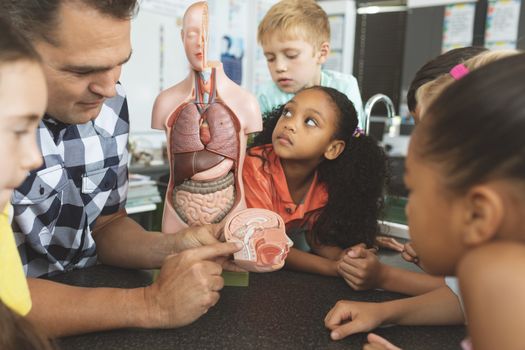 Overhead view of a teacher showing to his school kids a brain part of a dummy skeleton wile they are looking at it in classroom at school