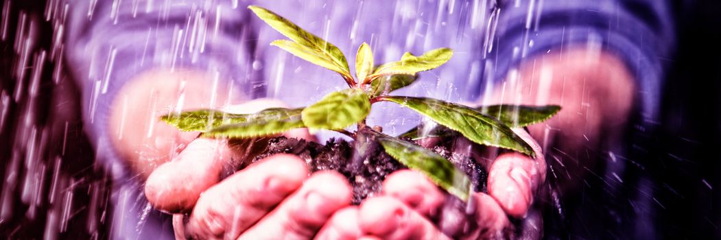 Hands holding seedling in the rain promoting environmentalism 