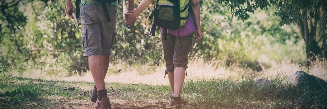 Couple hiking and holding hands each other on the wood 