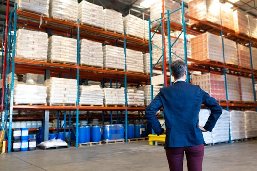Rear view of beautiful mature Caucasian female manager standing with hands on hip in warehouse. This is a freight transportation and distribution warehouse. Industrial and industrial workers concept