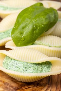 italian conchiglino pasta filled with spinach