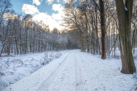 Snow covered path in a wooded winter landscape, snow falling from trees, footprints in the snow