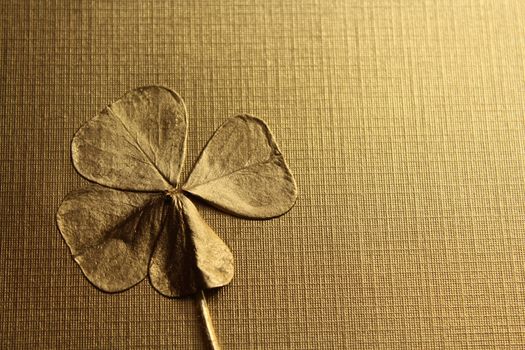 The picture shows lucky clover on a golden background