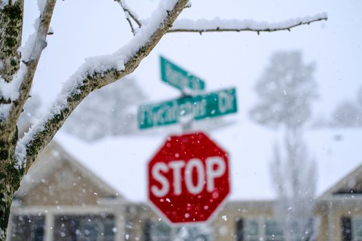 Snow on Tree Limb with street sign in background