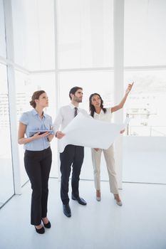 Business team reading a plan in an office