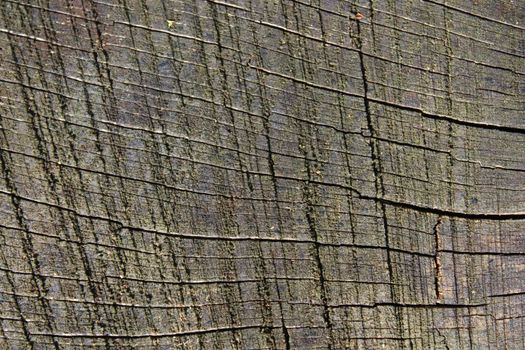 The picture shows a wooden background with a structure