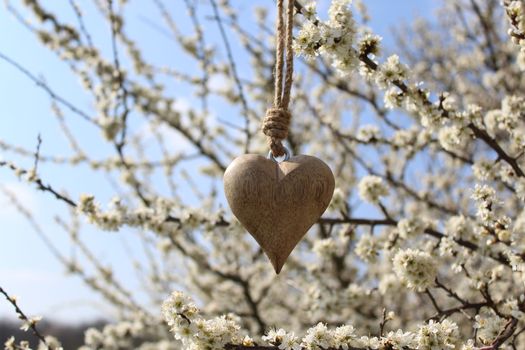 The picture shows a wooden heart in a blossoming bush