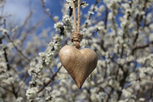 The picture shows a wooden heart in a blossoming bush