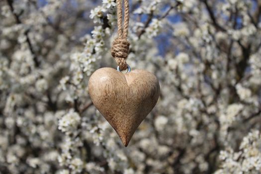 The picture shows a wooden heart in a blossoming bush