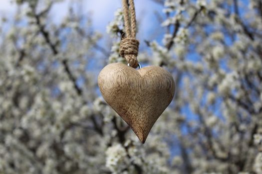 The picture shows a wooden heart in a blossoming bush