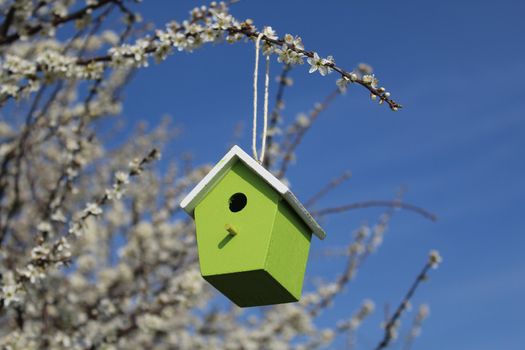 The picture shows a birdhouse in the blossoming bush