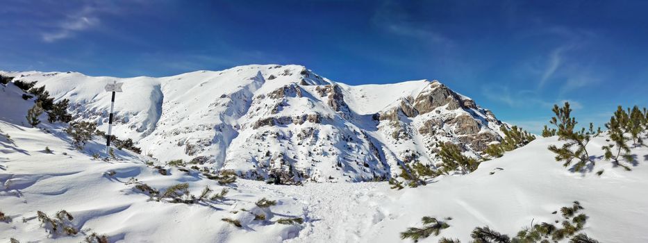 Panoramic view of Mount Bucegi on winter, part of Romanian Carpathian Range