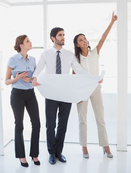 Business team reading a plan in an office