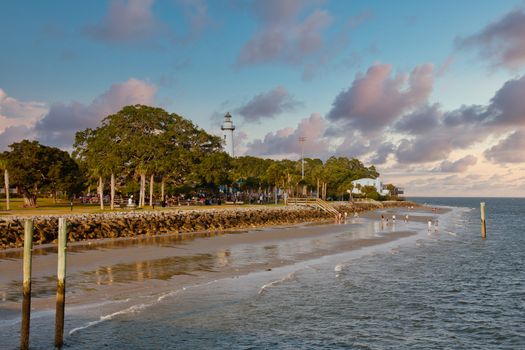 A sunny seaside park with a lighthouse near the beach