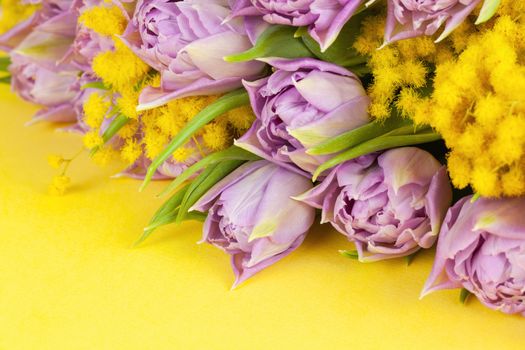 Bouquet of lilac tulips and yellow mimosas on yellow background, copy space, side view, closeup. March 8, February 14, birthday, Valentine's, Mother's, Women's day celebration, spring concept.