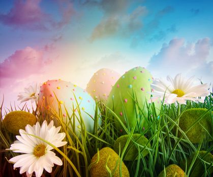 Large eggs with daisies in grass with rainbow  color sky
