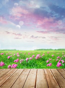 Wooden table with flowers in meadow against summer sky