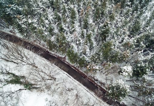 Drone aerial top view of a road going through snow forest.