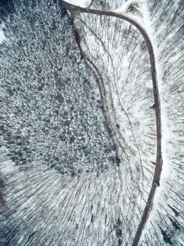 Drone aerial top view of a road going through snow forest in wild park.
