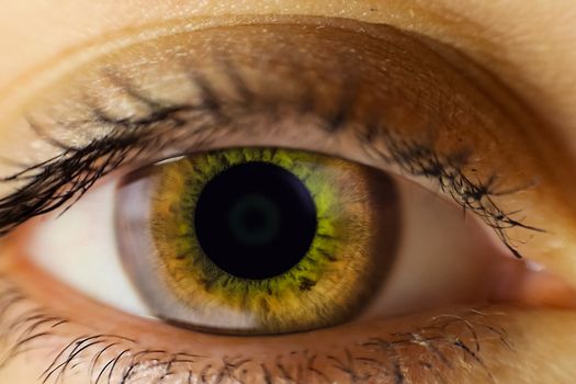 The human female eye is light brown. Eye close