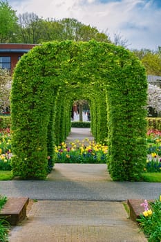 Spring in the park. Lisse, the Netherlands.