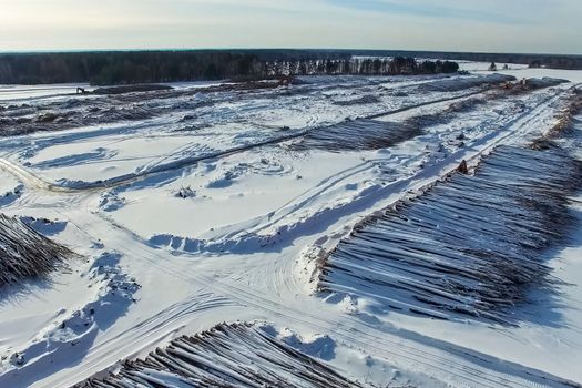 The felled trees lie under the open sky. Deforestation in Russia. Destruction of forests in Siberia. Harvesting of wood.