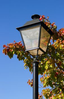Vertical shot of ornate street light with red and green tree in background
