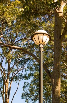 Vertical shot of ball shaped street light with trees in background