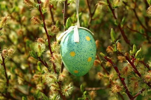 Happy easter greetings with a easteregg in the catkins