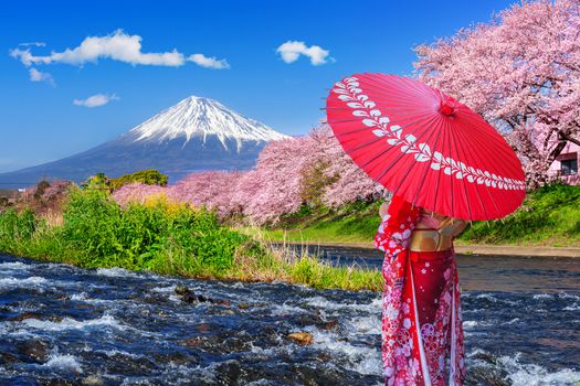 Asian woman wearing japanese traditional kimono and looking at cherry blossoms with fuji mountains in Shizuoka, Japan.