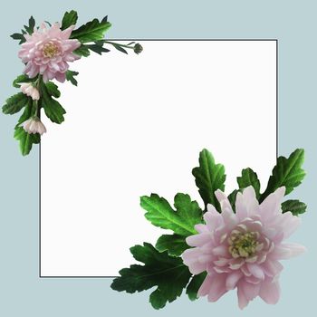 Blue square frame with pink chrysanthemums and green leaves and twigs with white space for text.
