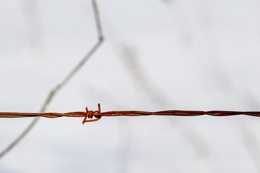 A single double barb on a double-strand wire line of a barbed wire fence. The four-point barb is rusted, with twisted wires forming a horizontal line across the frame before a white natural backdrop.