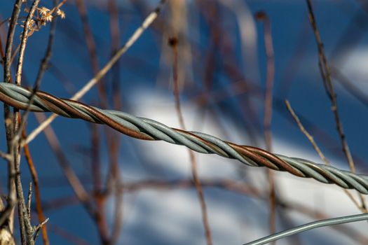 A steel twisted wire line, with four wire lines twisted around each other, forms a diagonal line across the frame. The wire stands before a background of twigs that are out of focus.