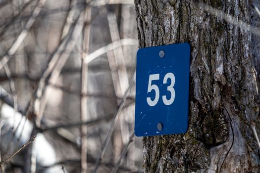 A trail marker on a recreational hiking trail through woods shows the number "53" in white on blue plastic. The marker is nailed to a tree trunk along the nature trail's pathway through the forest.