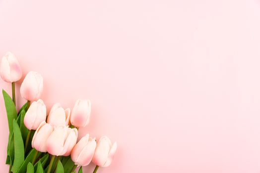 Happy Women's Day, Mother's Day concept. top view flat lay Tulip flower on pink background, copy space for your text