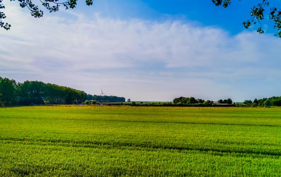 beautiful green farm lands in Sint Annaland, touristic town in zeeland, The Netherlands