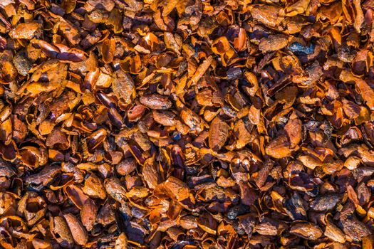 pattern of cacao shells in closeup, popular aromatic garden ground covering and mulch